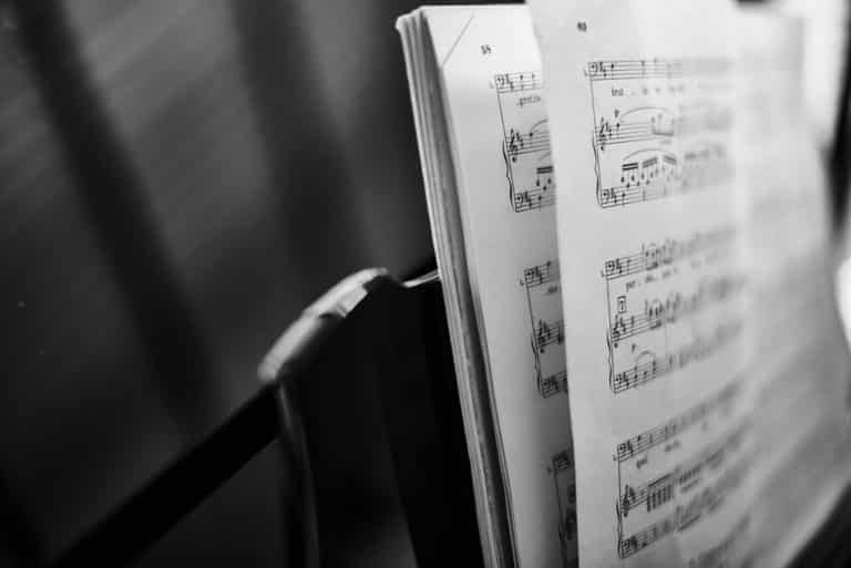 The Best AP Music Theory Book To Help You Score a 5